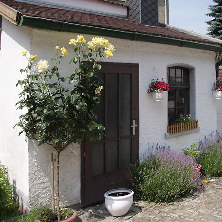 3 Seiten Ferienwohnung Jena Dış mekan fotoğraf